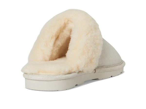 Bearpaw Loki Exotic