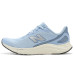New Balance Fresh Foam Arishi v4