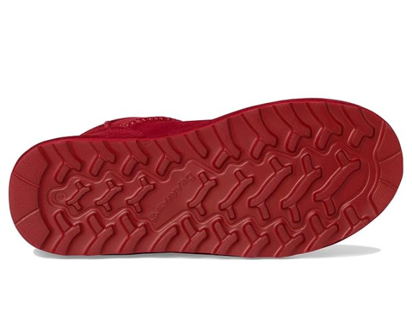 Bearpaw Shorty