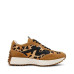 Steve Madden Campo Sneaker
