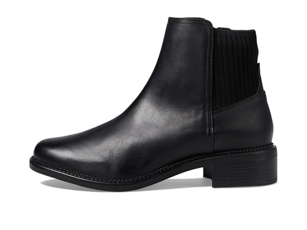 Clarks Maye Palm