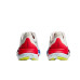 Hoka Skyward X
