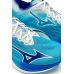 Mizuno Wave Rebellion Pro 2