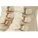 SOREL Tivoli™ V Waterproof