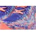 ASICS Noosa Tri 16 ASICS Noosa Tri 16