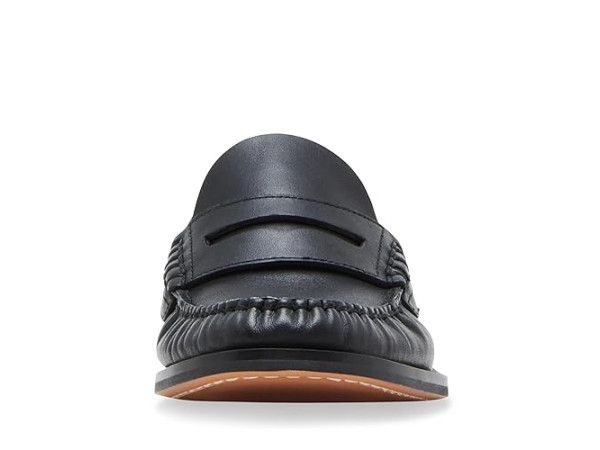 Steve Madden Kingston