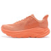 Hoka Clifton 10