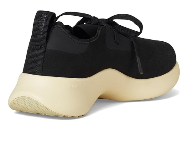 Native Shoes Apollo 10