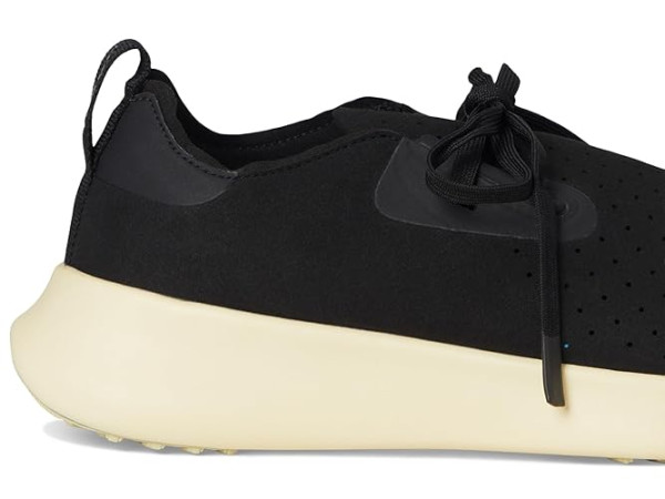 Native Shoes Apollo 10