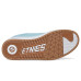 etnies Scam