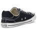 Converse Chuck Taylor All Star Dainty Lucky