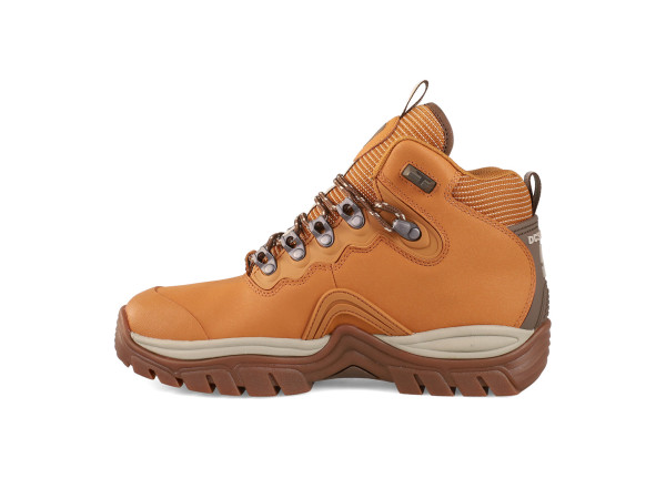 DC Navigator Winter