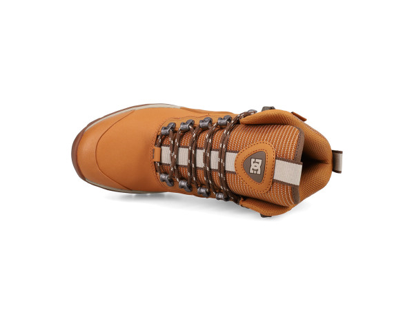 DC Navigator Winter